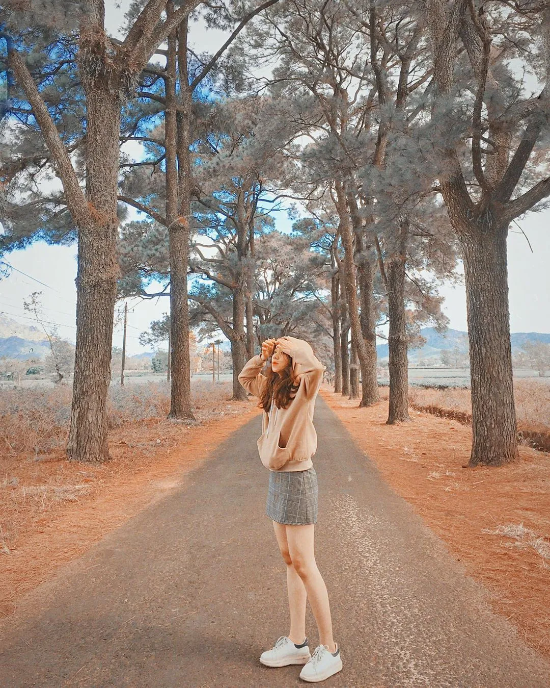 Đồi chè xanh bạt ngàn tại Biển Hồ Chè Gia Lai