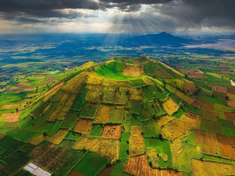 Núi lửa Chư Đăng Ya rực rỡ mùa hoa dã quỳ, điểm trekking hấp dẫn ở Gia Lai