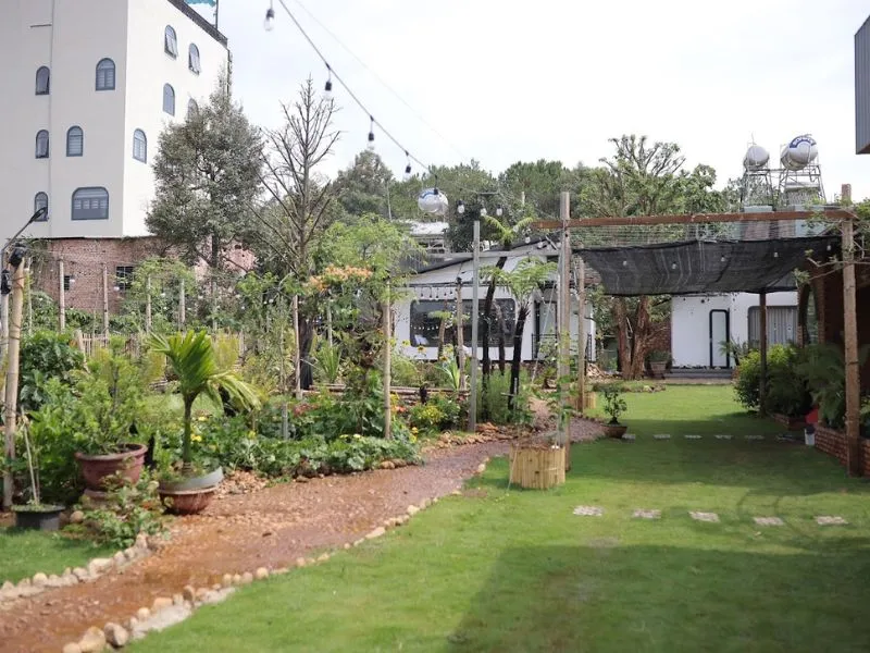 Sân vườn rộng rãi tại Homestay Hơ Đơng Gia Lai, thích hợp dã ngoại, ngắm cảnh.