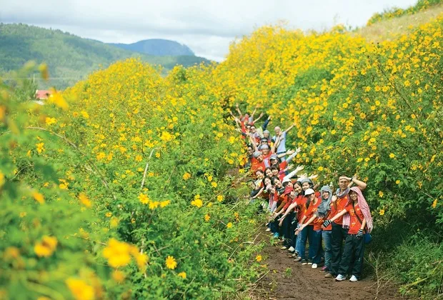 Cánh đồng hoa dã quỳ vàng rực - thời điểm lý tưởng du lịch Gia Lai