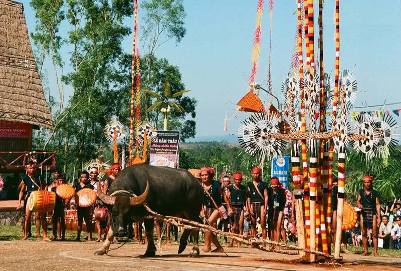 Nghi lễ trang trọng trong Lễ hội Đâm Trâu truyền thống của người Gia Lai