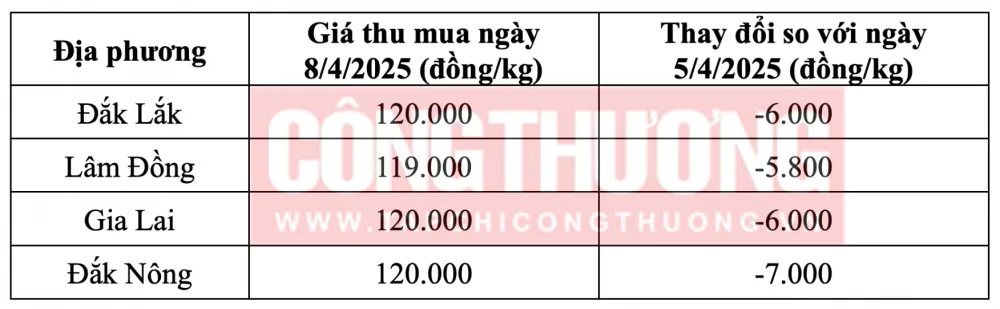 Giá tiêu Tây Nguyên hôm nay 8/5/2025 cập nhật mới nhất tại Gialai24h