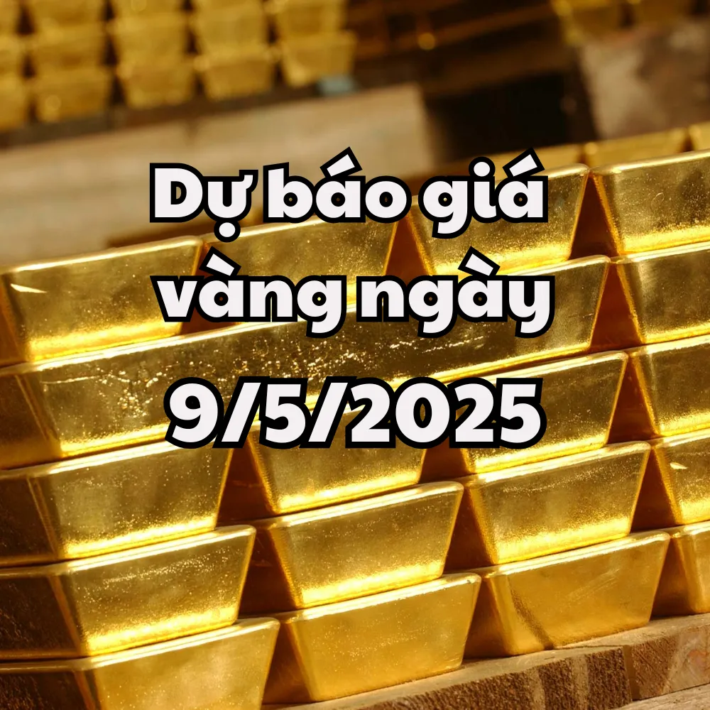 Giá nông sản hôm nay 9/5/2025 tại Gia Lai và các yếu tố thị trường ảnh hưởng